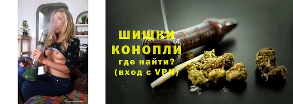 эйфоретик Белокуриха