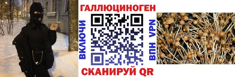 Псилоцибиновые грибы Magic Shrooms  Кандалакша 